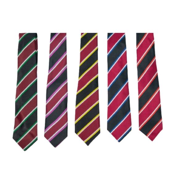 Unity College Tie