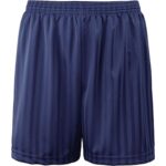 Navy PE Shorts